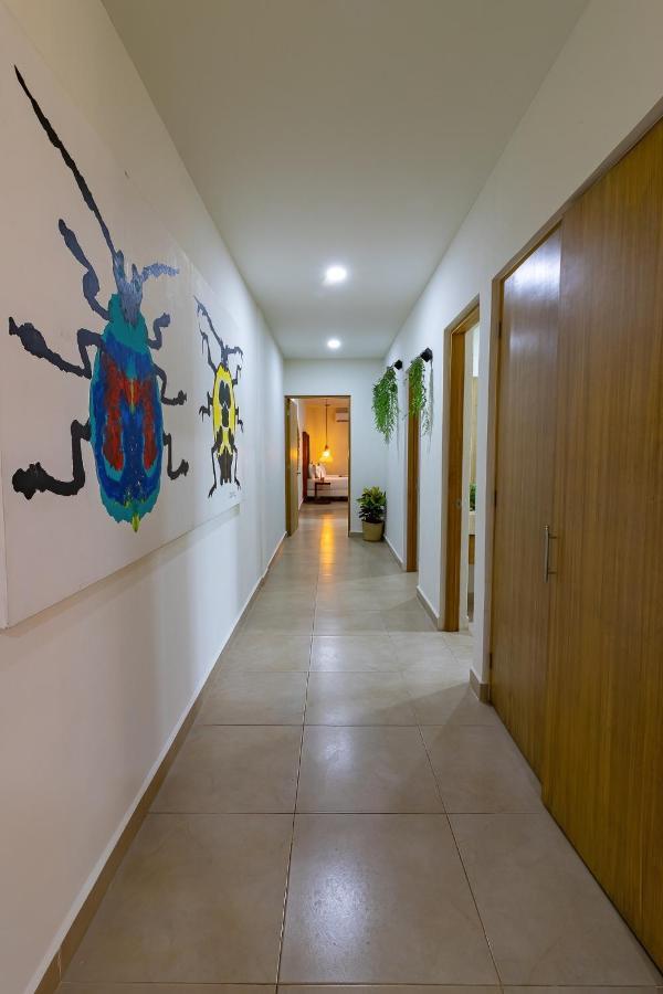 Elementus Tulum Apartamento Exterior foto
